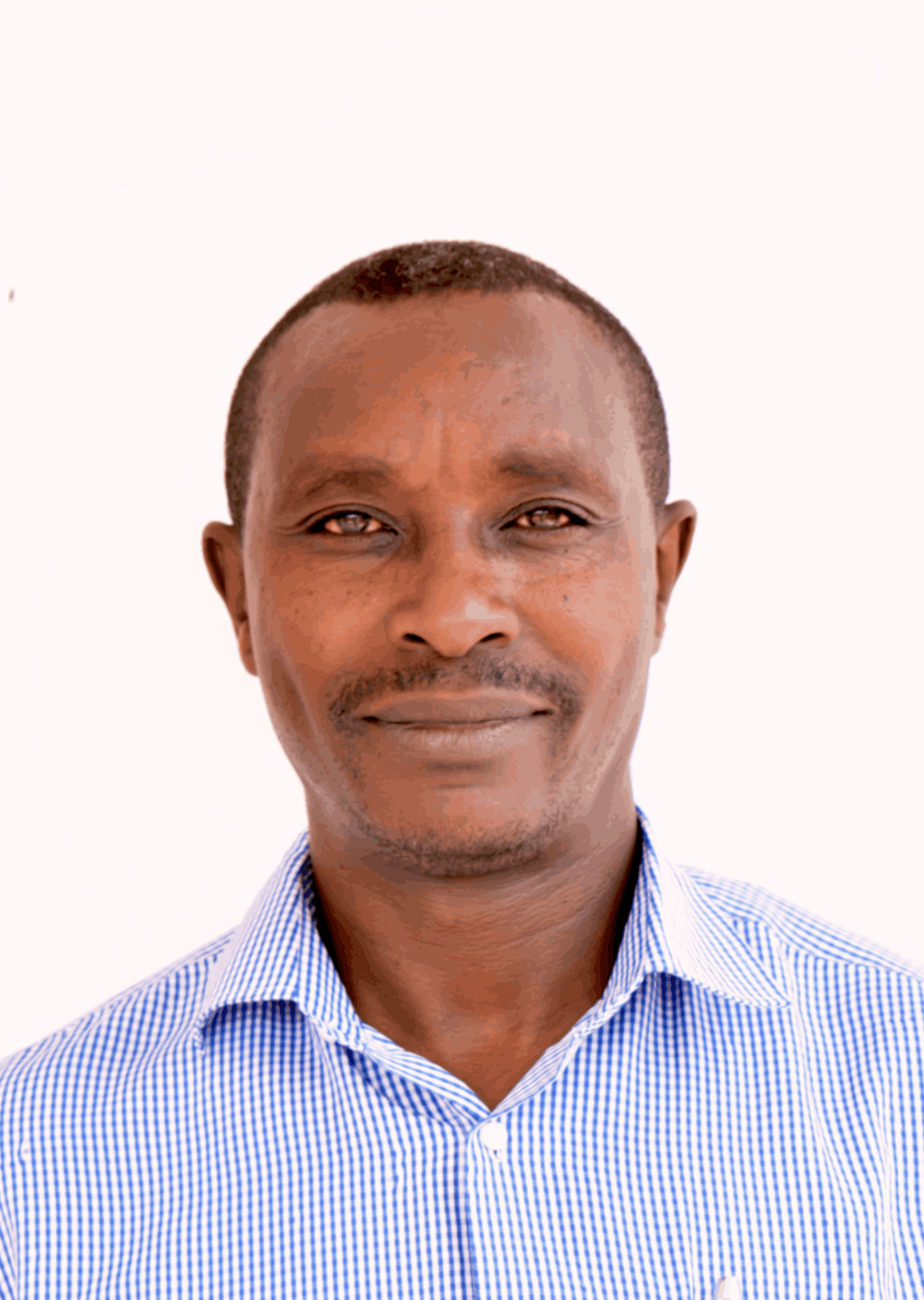 Team Member 