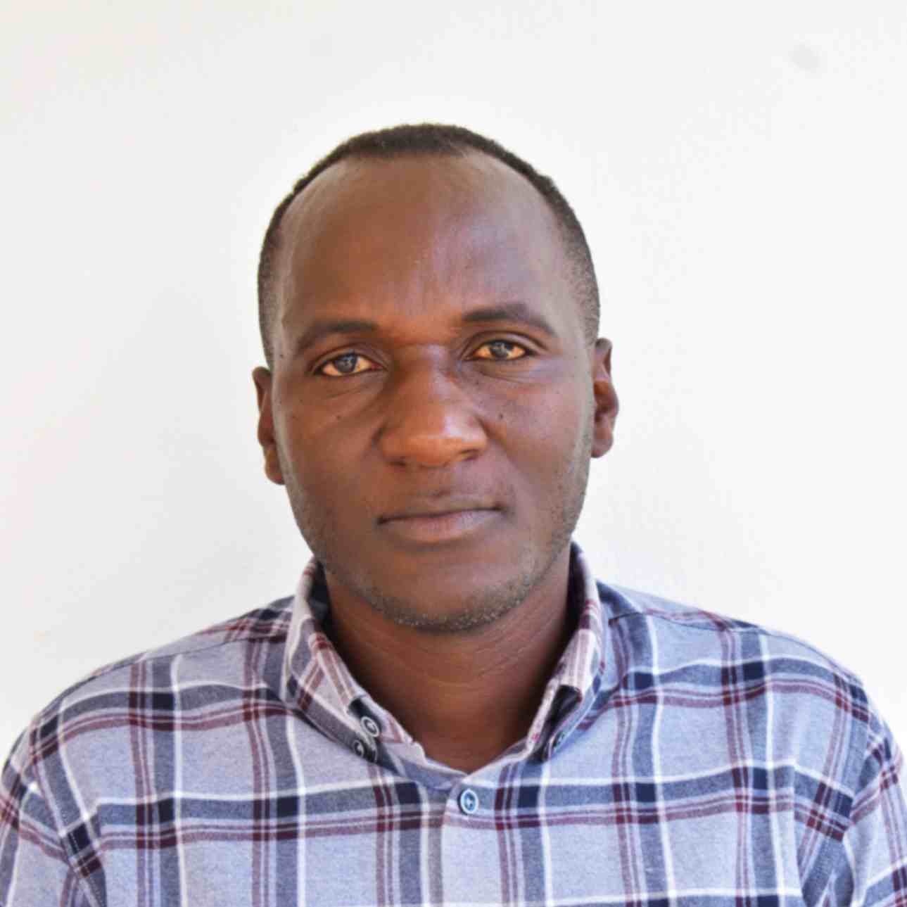 Team Member 